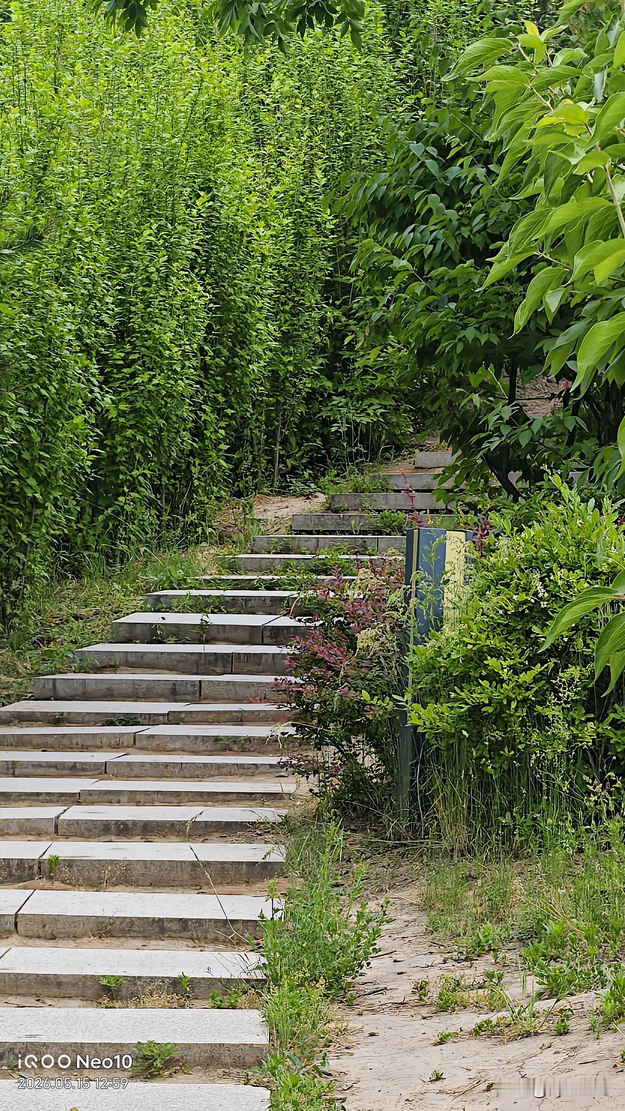 晒图笔记大赛