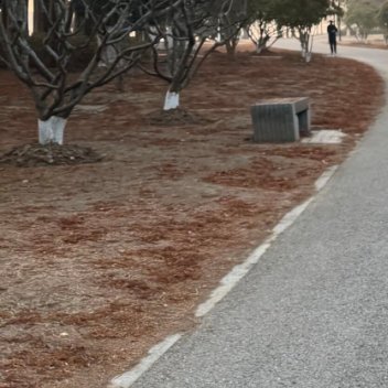 跑道上的每一步，都藏着早睡的底气，晚安。 