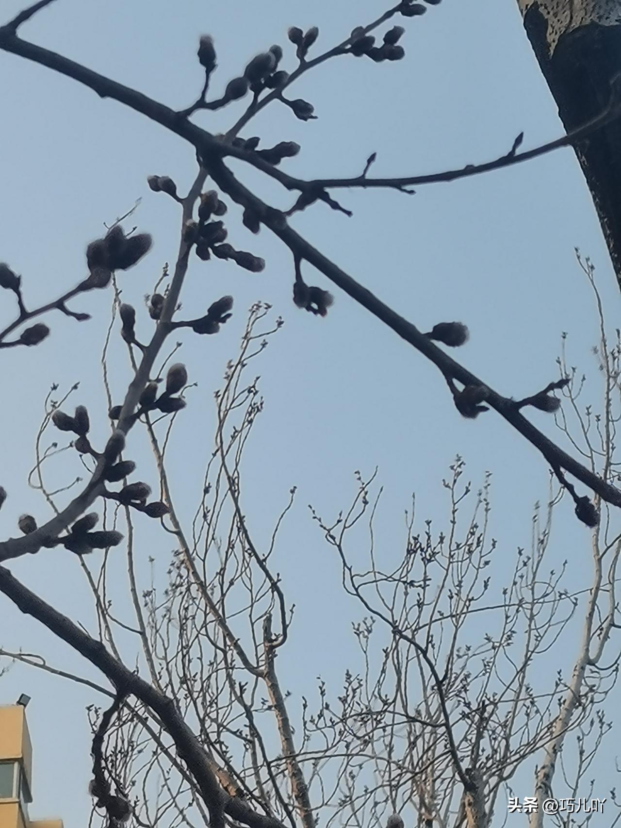 经历告诉我，再亲的人，父母兄弟姐妹你真的不用对他们太好，各有各的命，谁的命运谁背