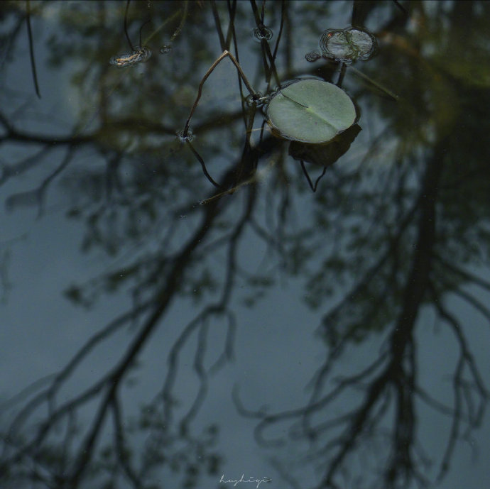 在这复杂世界里，我们应该拥有，认真过好这一生的，四种能力：得自在、知孤独、记初心