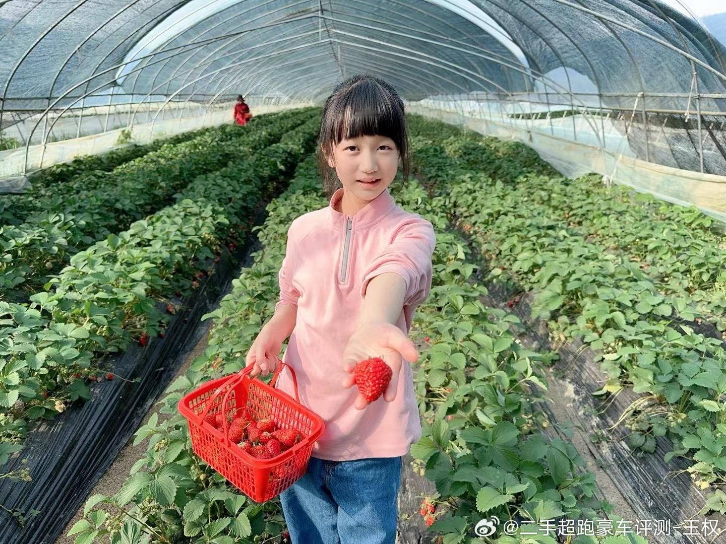 来请你吃甜甜的🍓 ​​​