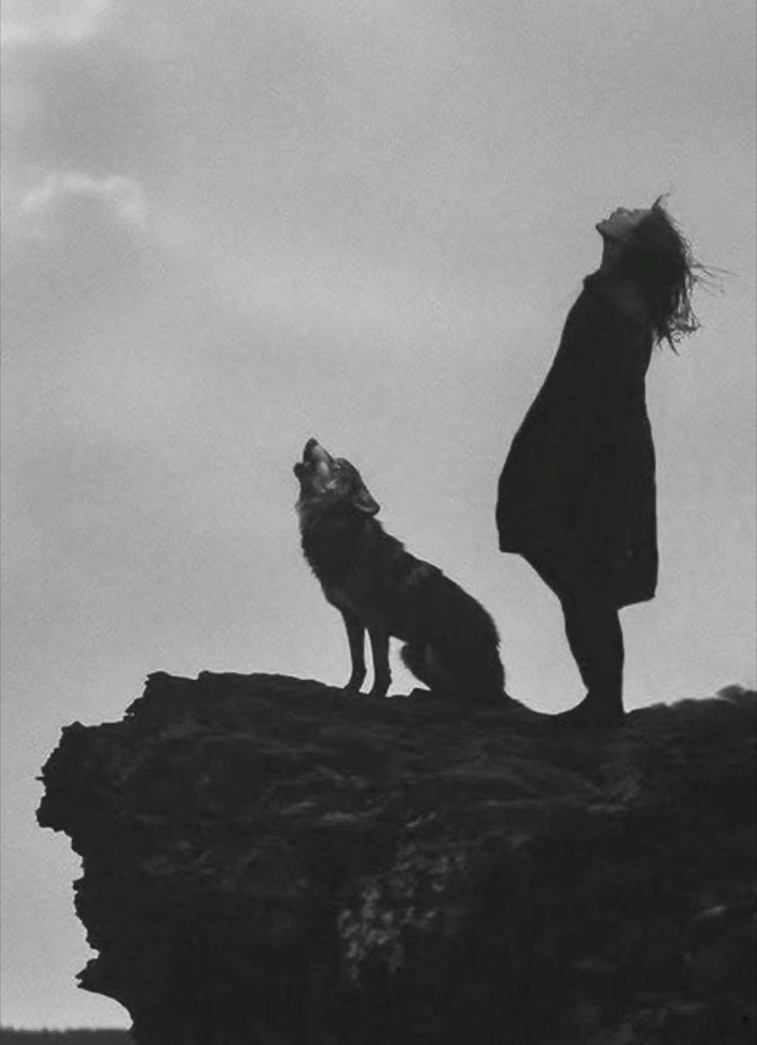 我的爪牙，只为天地生。不困于笼，不驯于人，不屑于斗。此身只向旷野、只逐风云——我