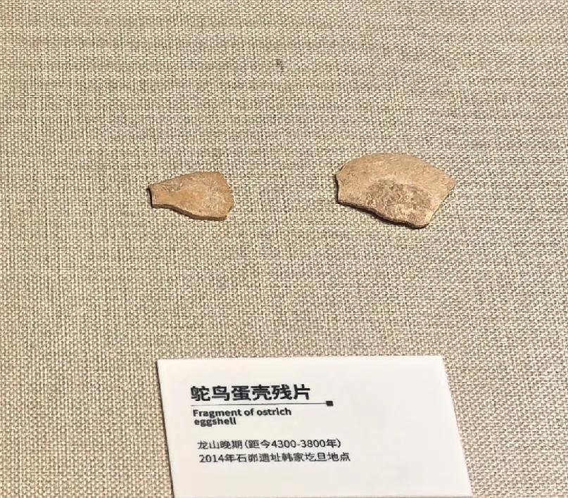 这个位置就是以后的大底，第三次世界大战不爆发，这个底破不了。
在这个位置，国有大