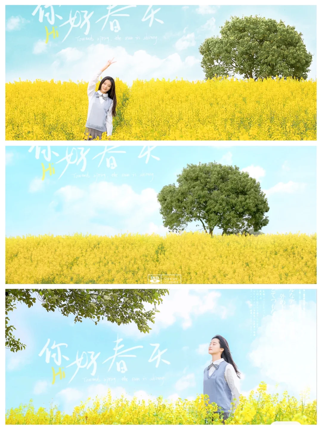 苏州醉美油菜花田➕阳澄湖孤独的树（附地图）