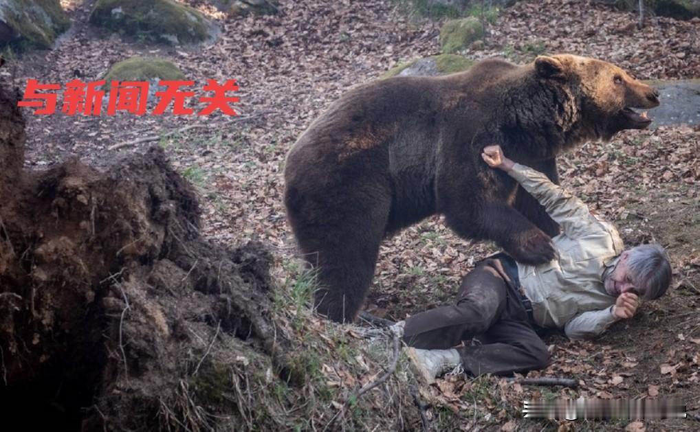 日本熊灾泛滥实在是太可怕了，今年已经发生了20000多件并造成了13人死亡。要知