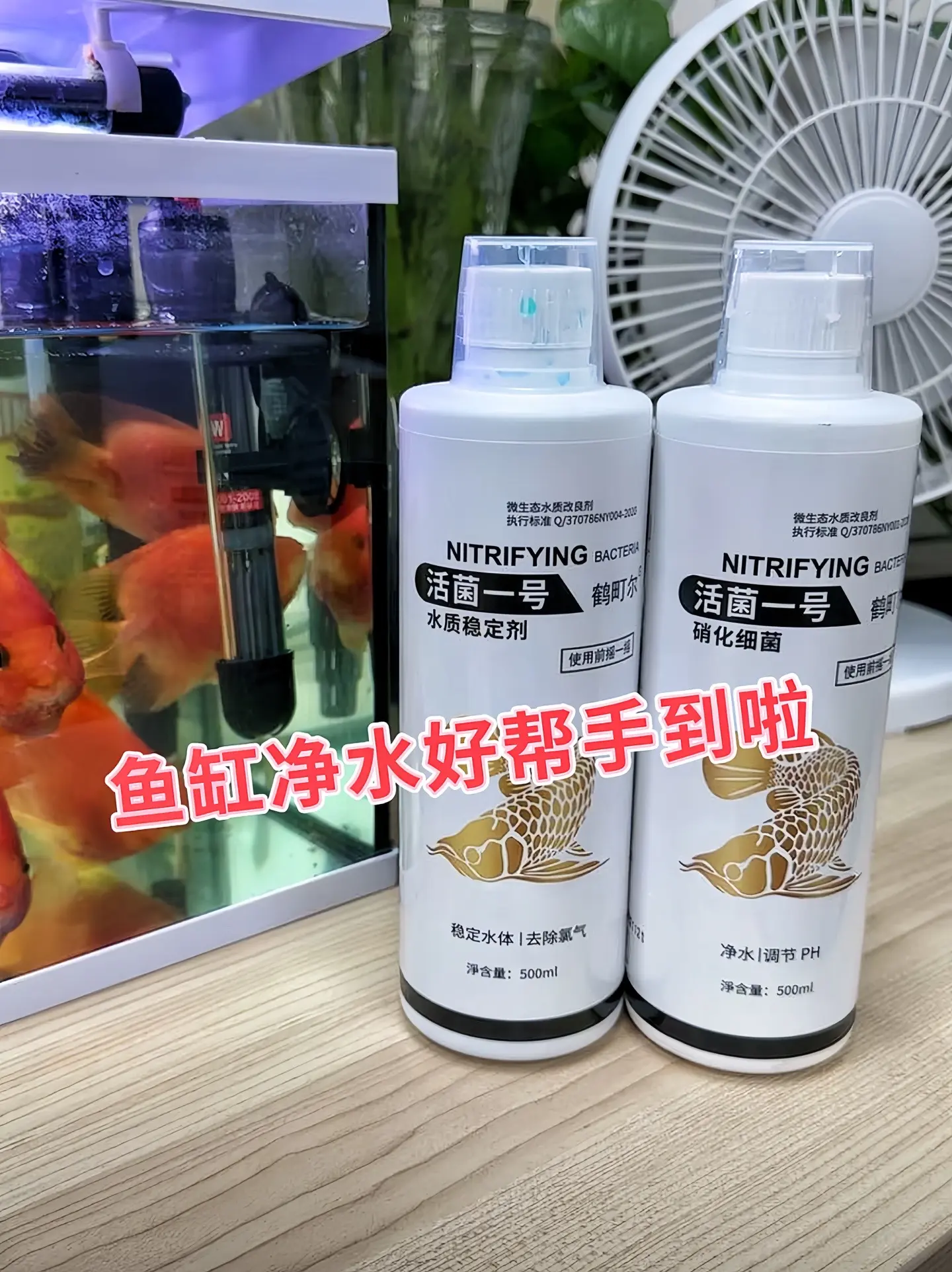 养鱼先养水，水质干净了鱼才能养的更好，快试试这款净化鱼缸水质，分解鱼便...