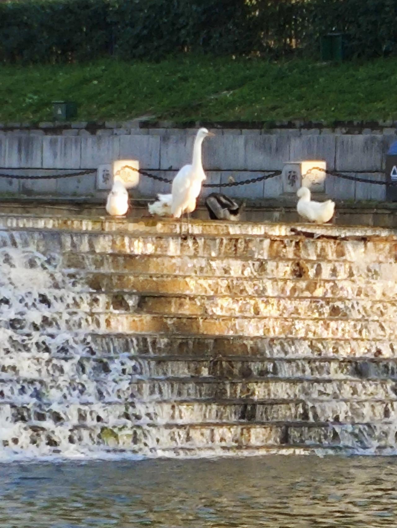 高市早苗为什么不道歉？问题是高市的支持率仍然高企！支持率达到75%！研判个屁[捂