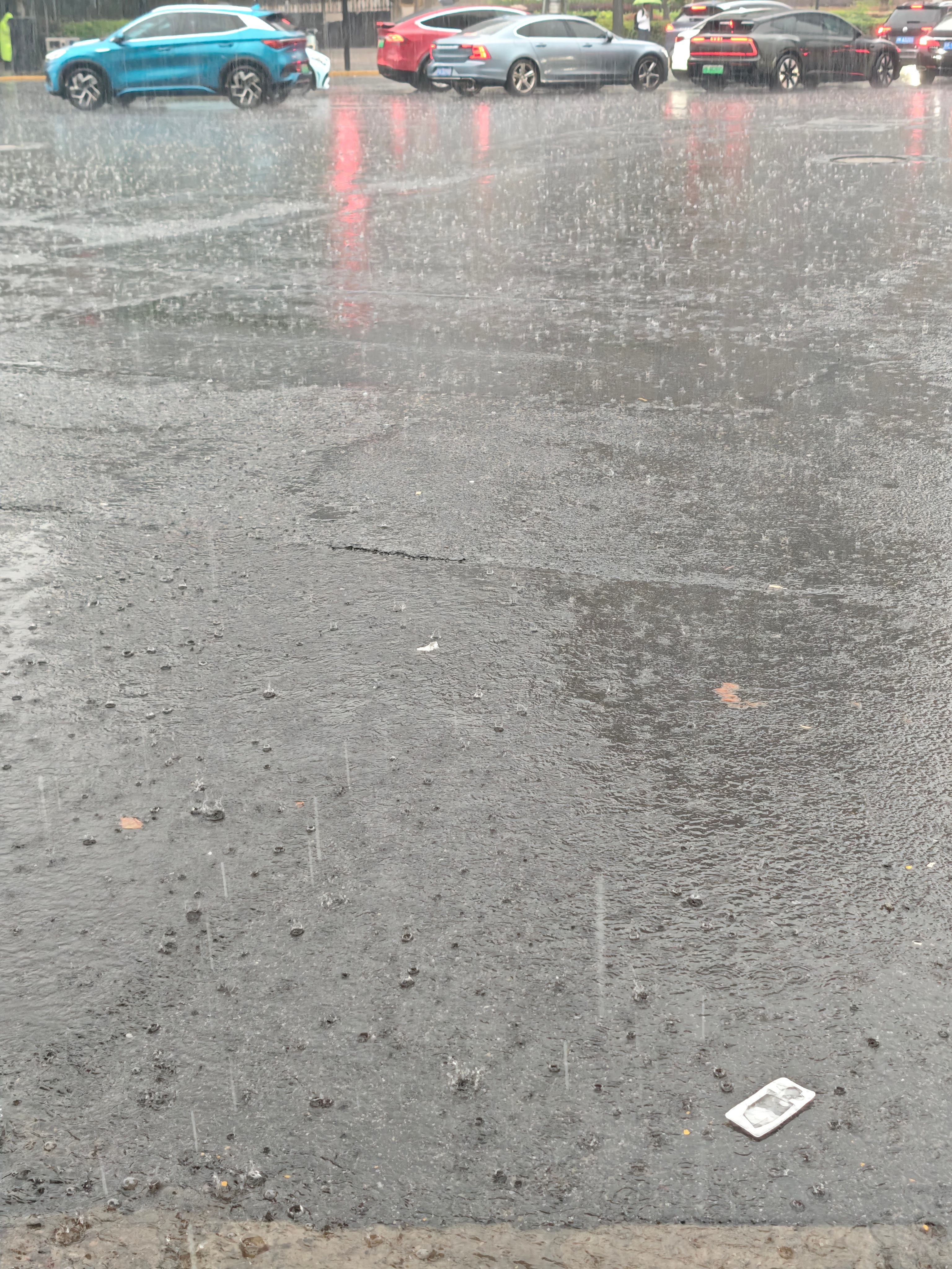 上海这雷霆大雨对打工人真的很不友好！