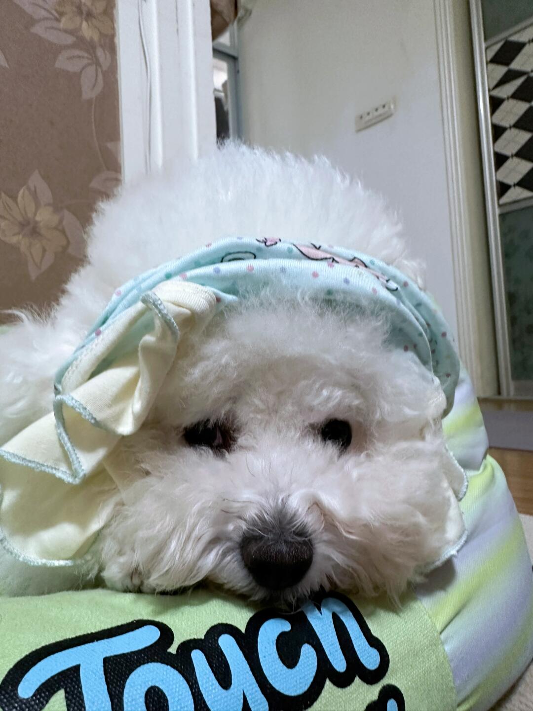 我妈这个老登 谁来管管她