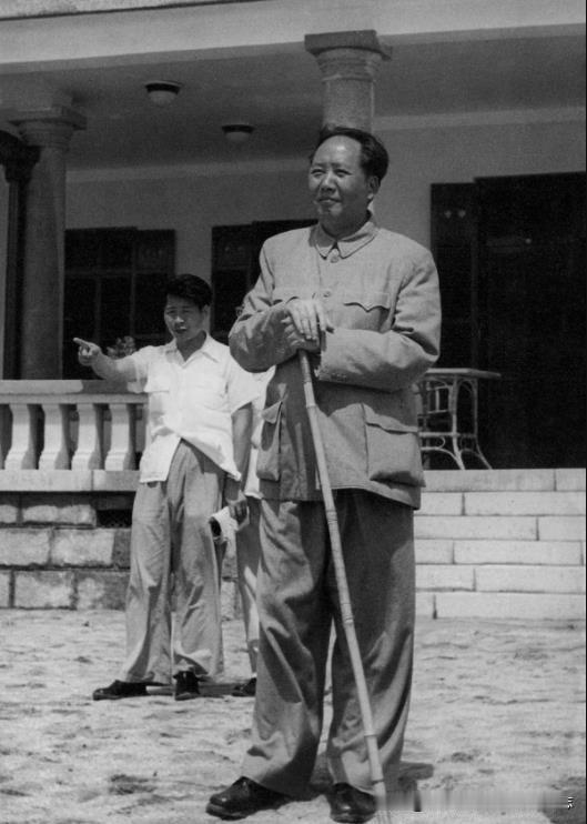 1954年毛主席在北戴河