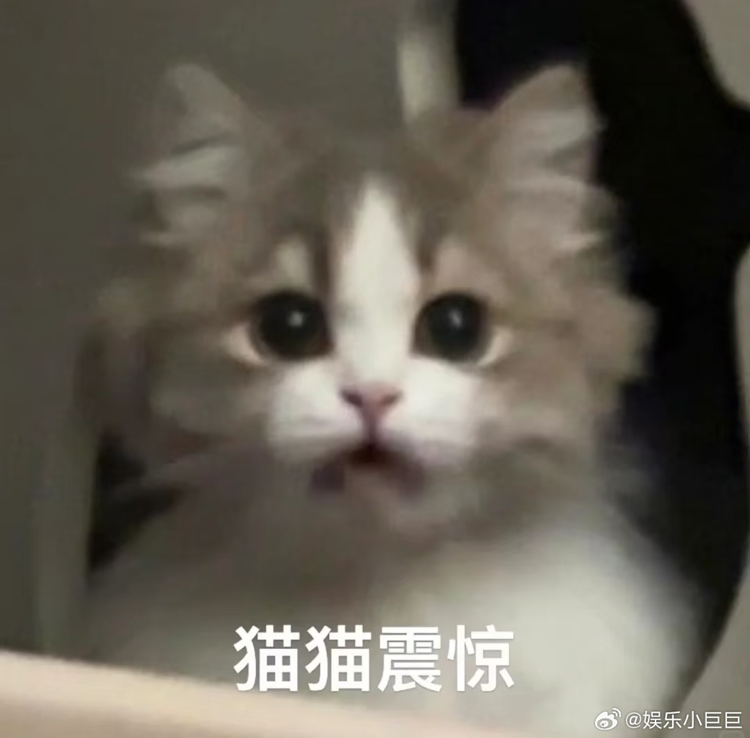 人类对粽子的开发不足百分之一 每年端午都能刷新我对粽子的认知，今年新奇款式又多了