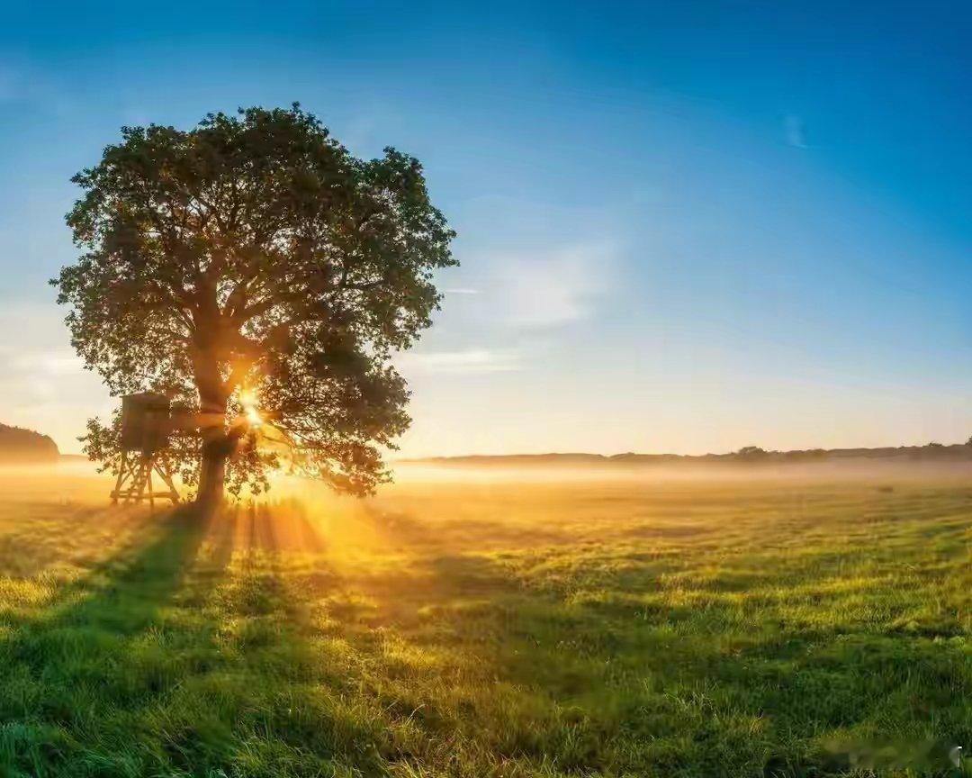 今年上班出勤率99%同事之间形成了默契的“表演共同体”。大家互相配合完成这场大型