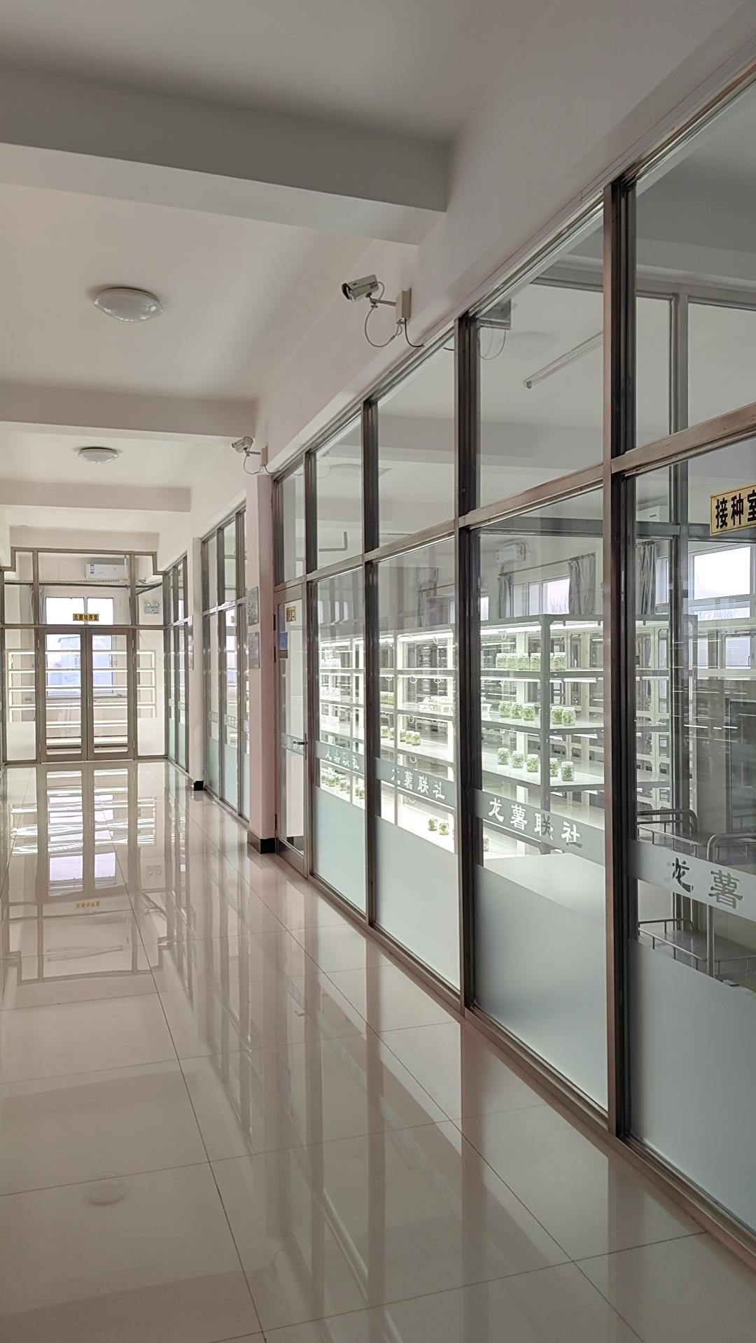 冬日生活打卡季科技兴农，优质种薯就在这里诞生！