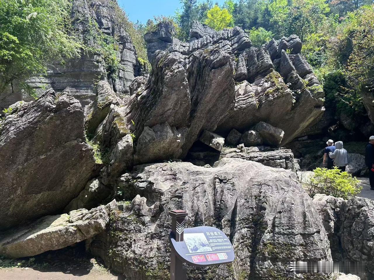 接触的人越多，越会发现，凡是混得好的人，都有5个共性：1、不和同事走太近；2、不