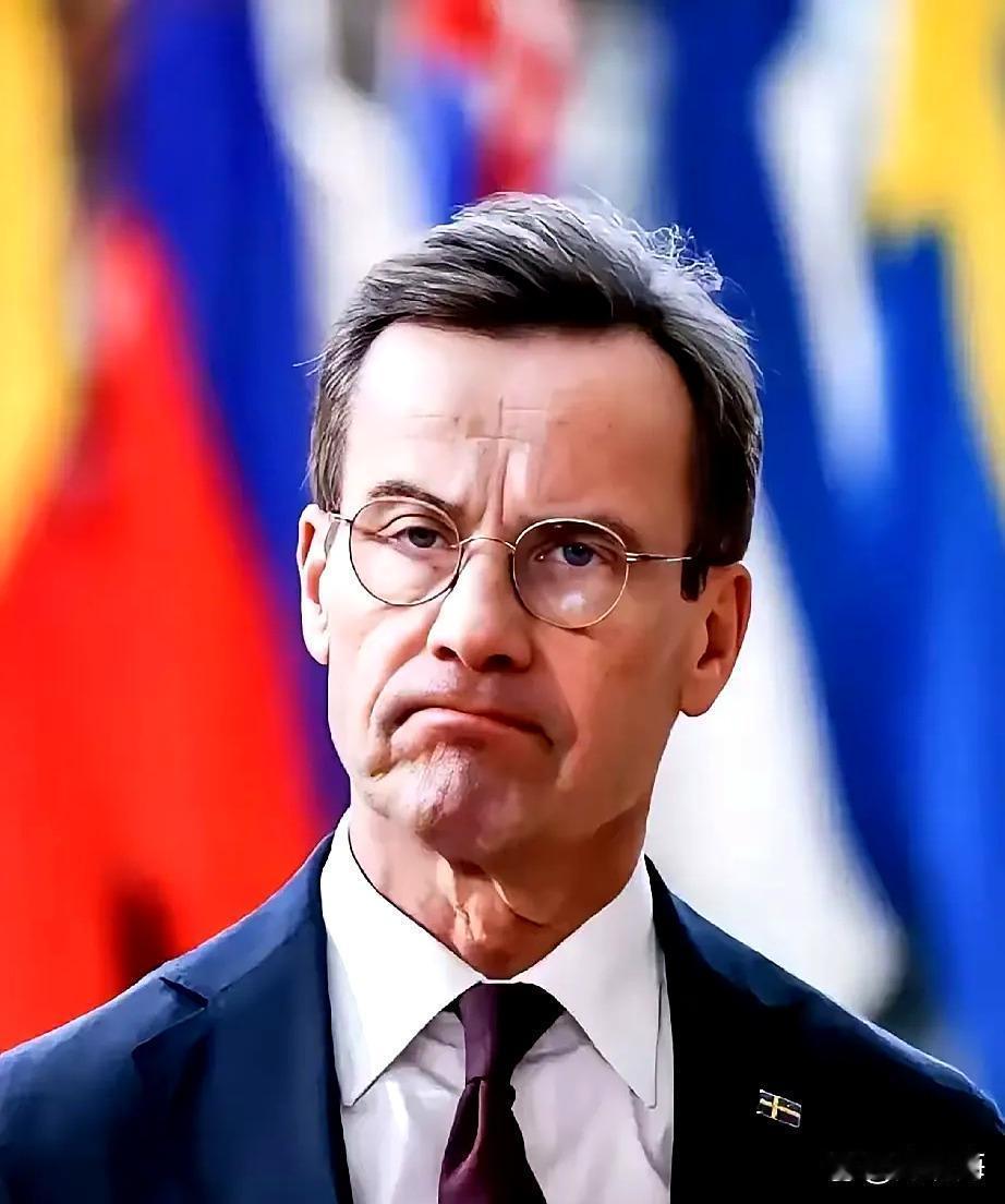 【瑞典不排除在战时部署核武器】
瑞典国防大臣波尔·荣松表示，瑞典不排除在战时在本