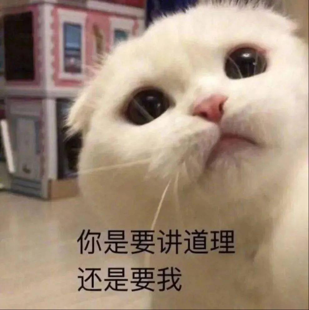 表情包  可爱喵咪表情包 