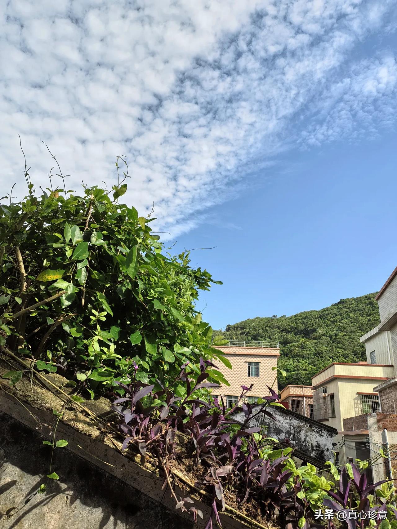 夏天的天空蓝得令人心动，配上飘浮空中的白云，浑然天成的一幅图画，蓝天+白云，也是