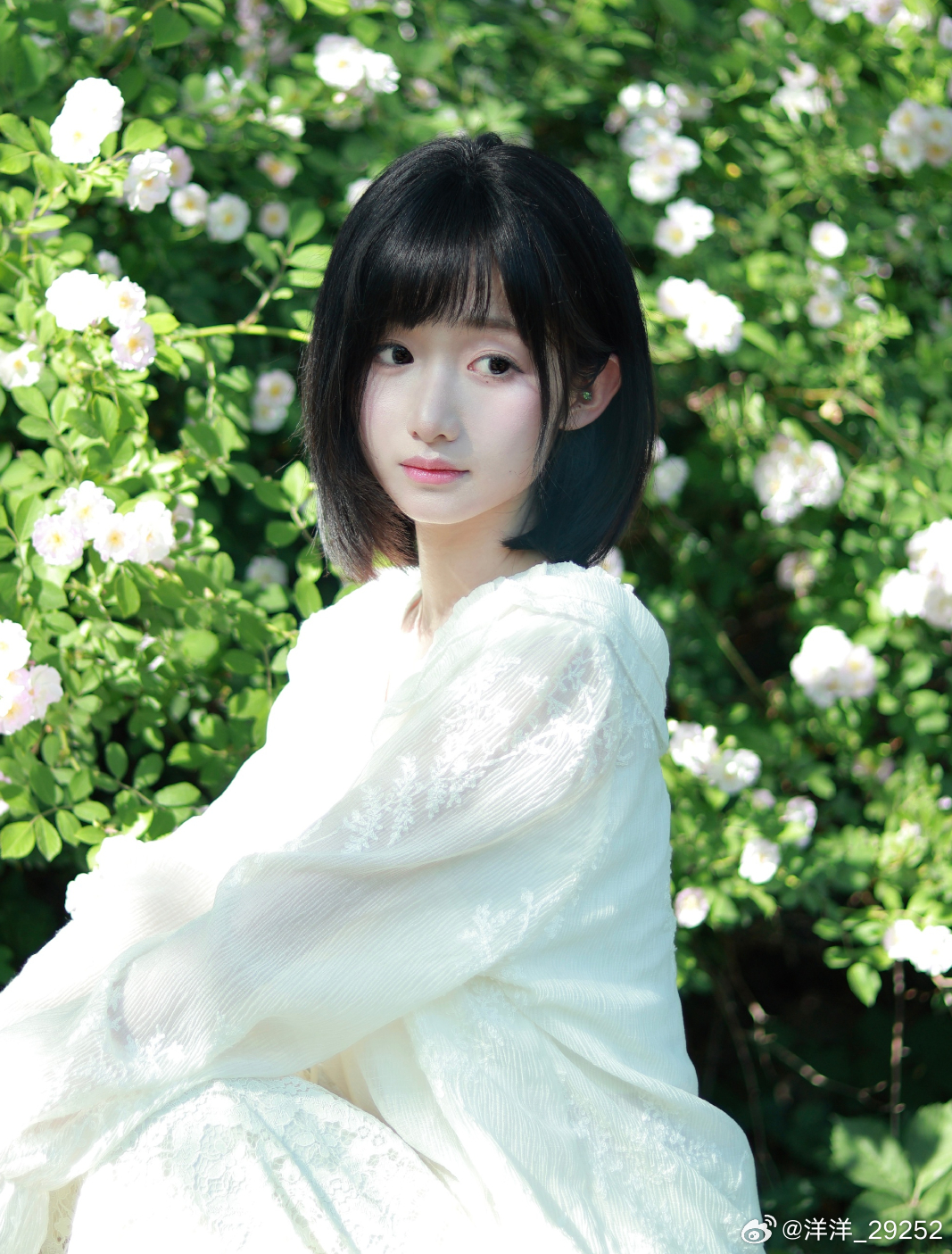 洋洋高锐·雪梨花～吗◎夜……不知怎么又……闯了大祸◎扳……倒了银河发……现了月亮