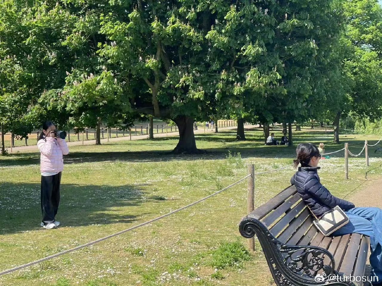 小花镜头下的孙俪小花镜头里中的孙俪 小花镜头下的孙俪 ​​​