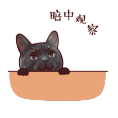 猫咪对大学生毫无保留的信任你们学校的小猫叫什么名字呀？ ​​​