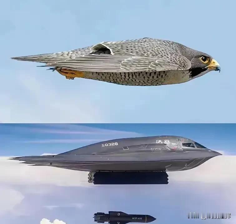 这就是仿生艺术
 
够不够劲
 
帅不帅气
 
流畅的机身
 
稳重的体态
 