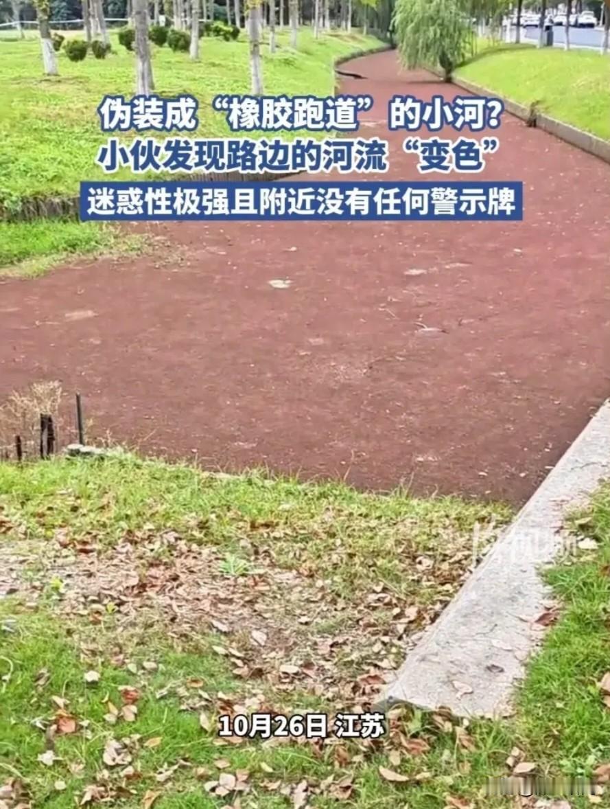 确实很像橡胶跑道，别说晚上了，就是白天都有些分不清了，公园负责人赶快整改吧，有人