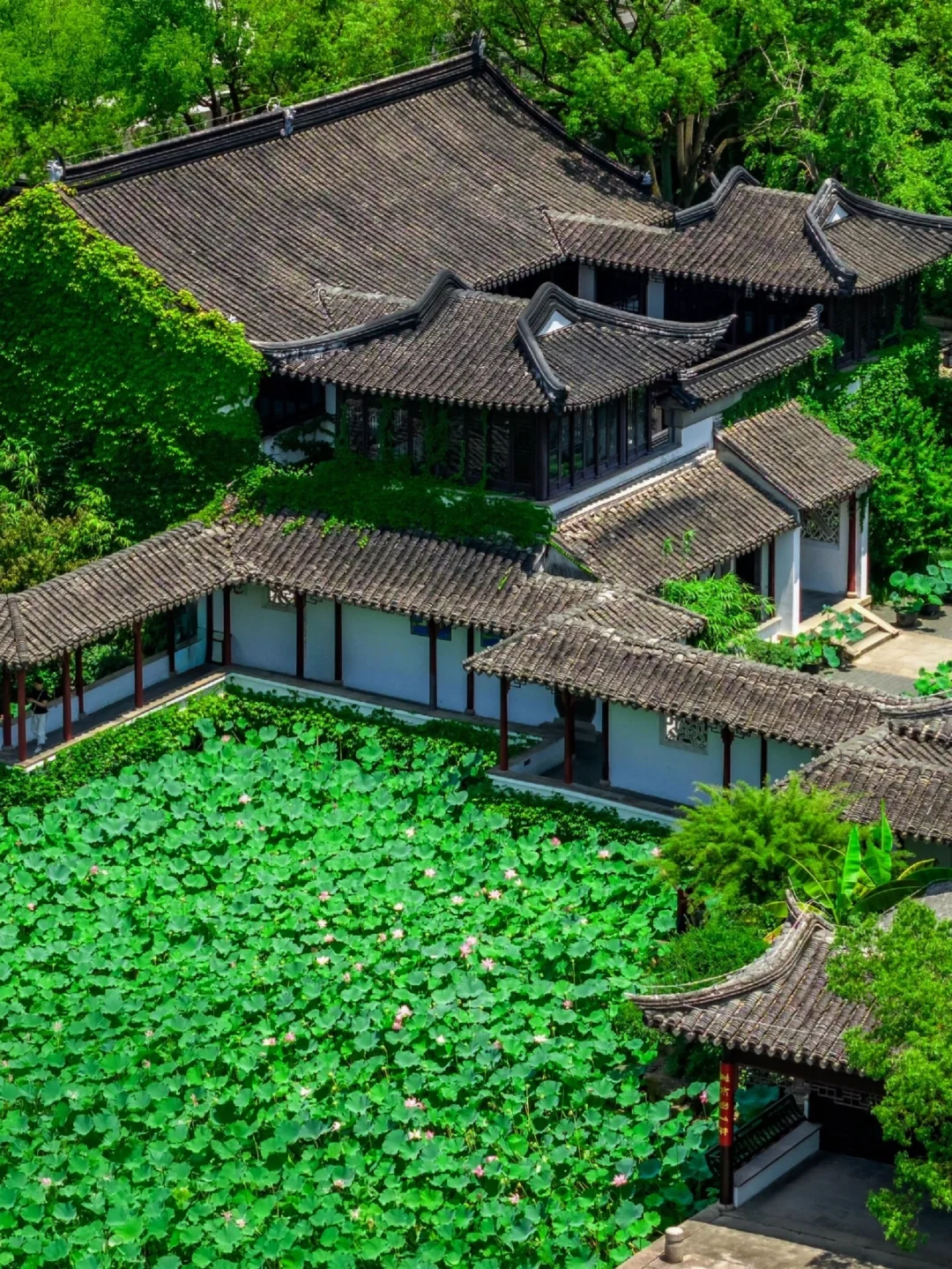 🌞🚗来一次为期一天的太仓探险之旅吧——