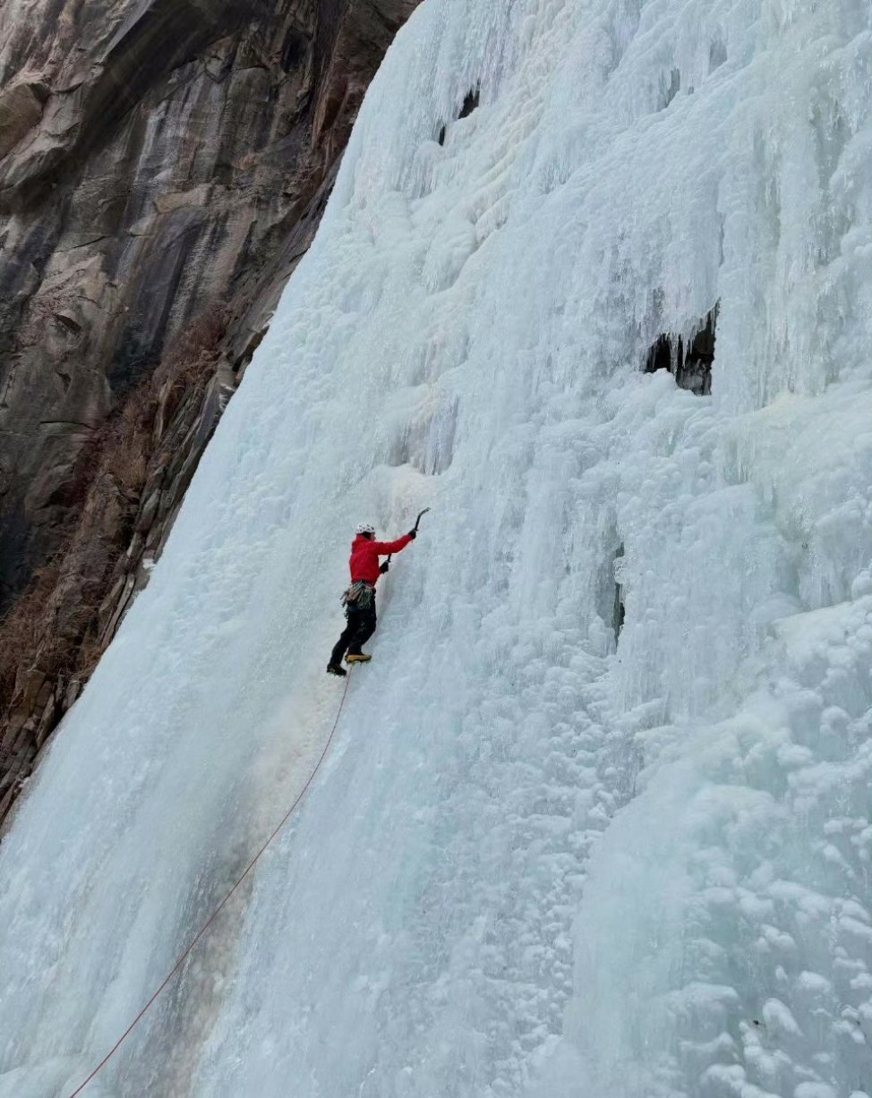 妈呀，博帝！您又开始了 