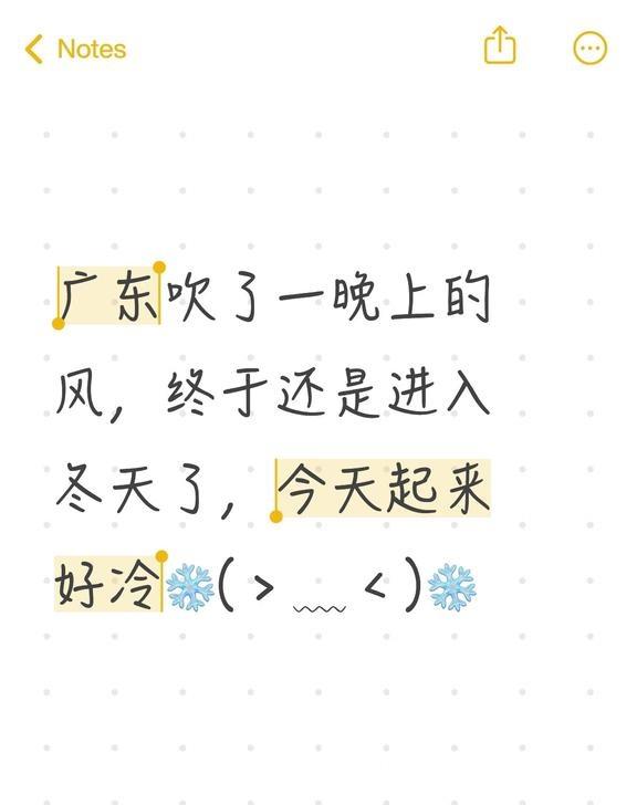 广东吹了一晚上的风，终于还是进入冬天了，今天起来好冷❄️(＞﹏＜)❄️广东天气 