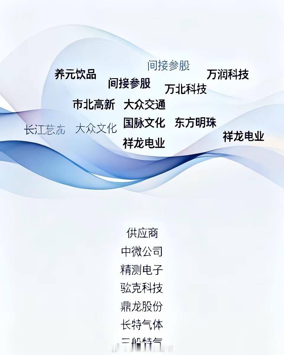 长江存储相关联公司直接持股（A股唯一）养元饮品0.99%出资16亿间接参股万润科