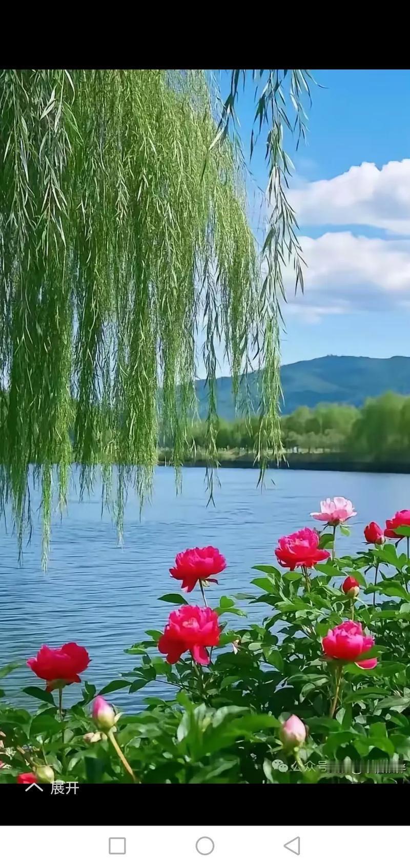 


祛湿没有那么简单，五大雷区分享给您，让您祛湿路上不踩坑！