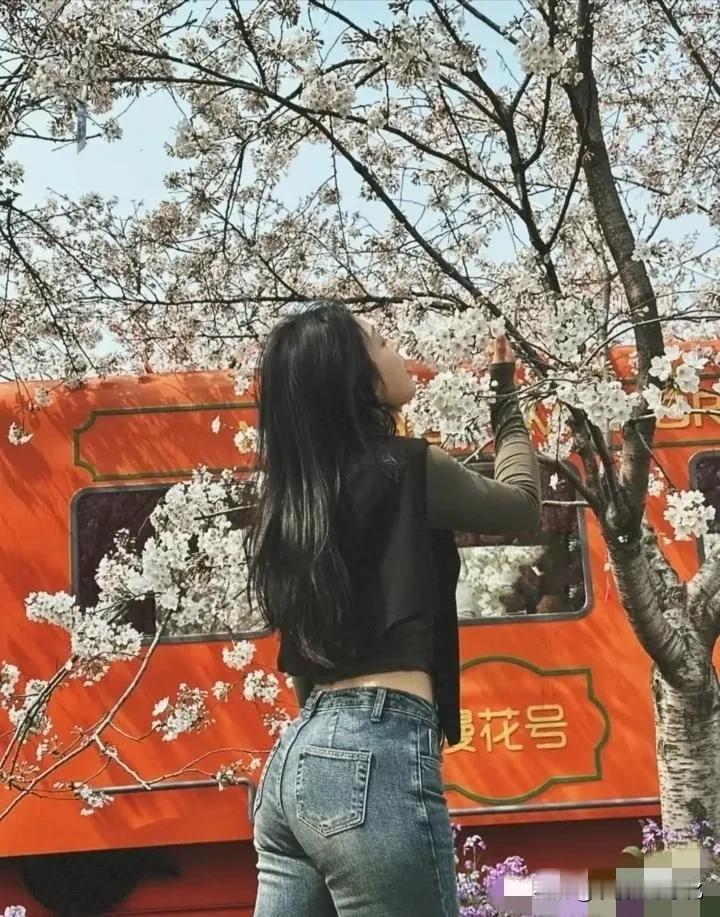 樱花树下，与你相遇。