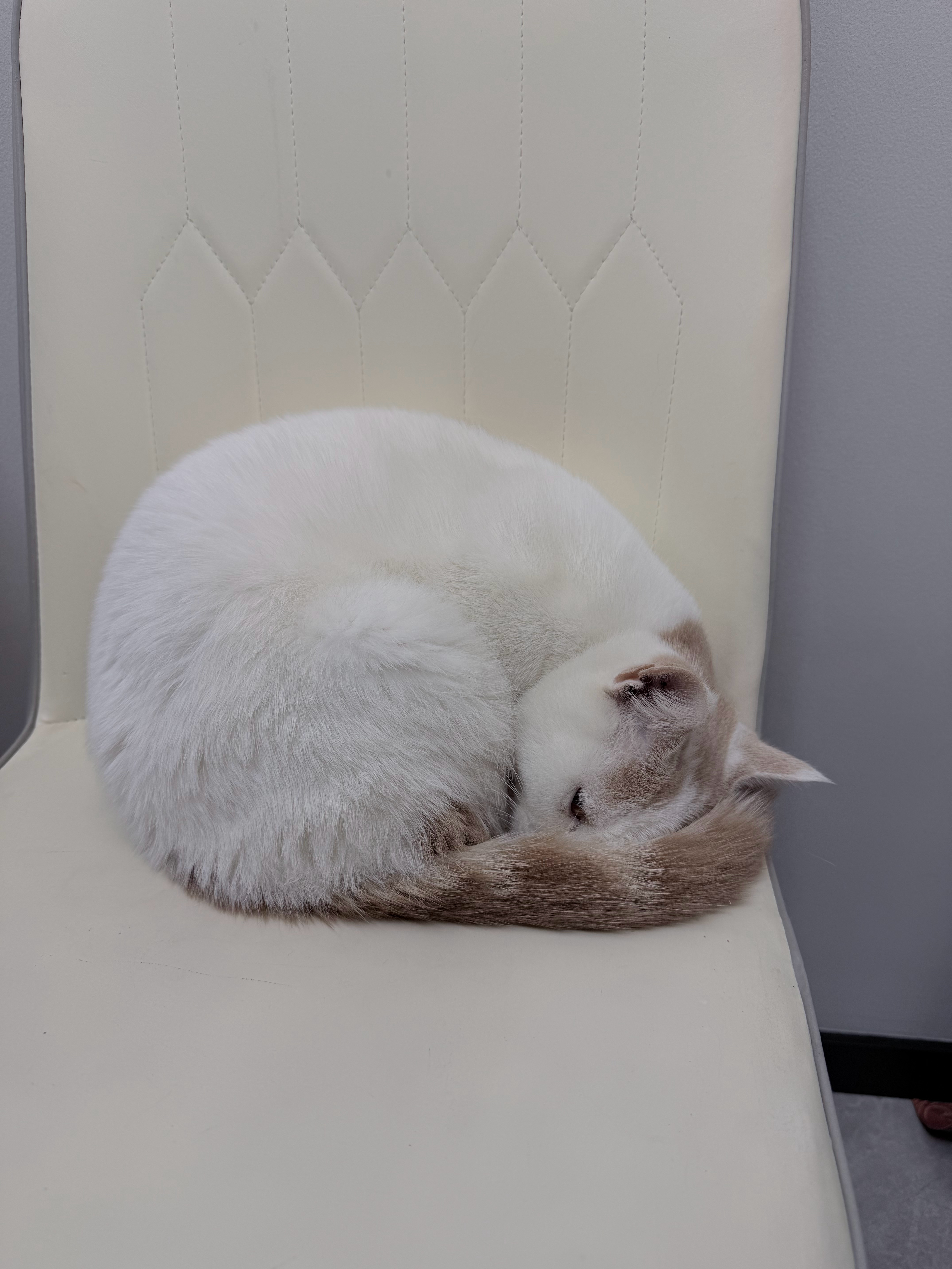 2025高产歌手TOP301 