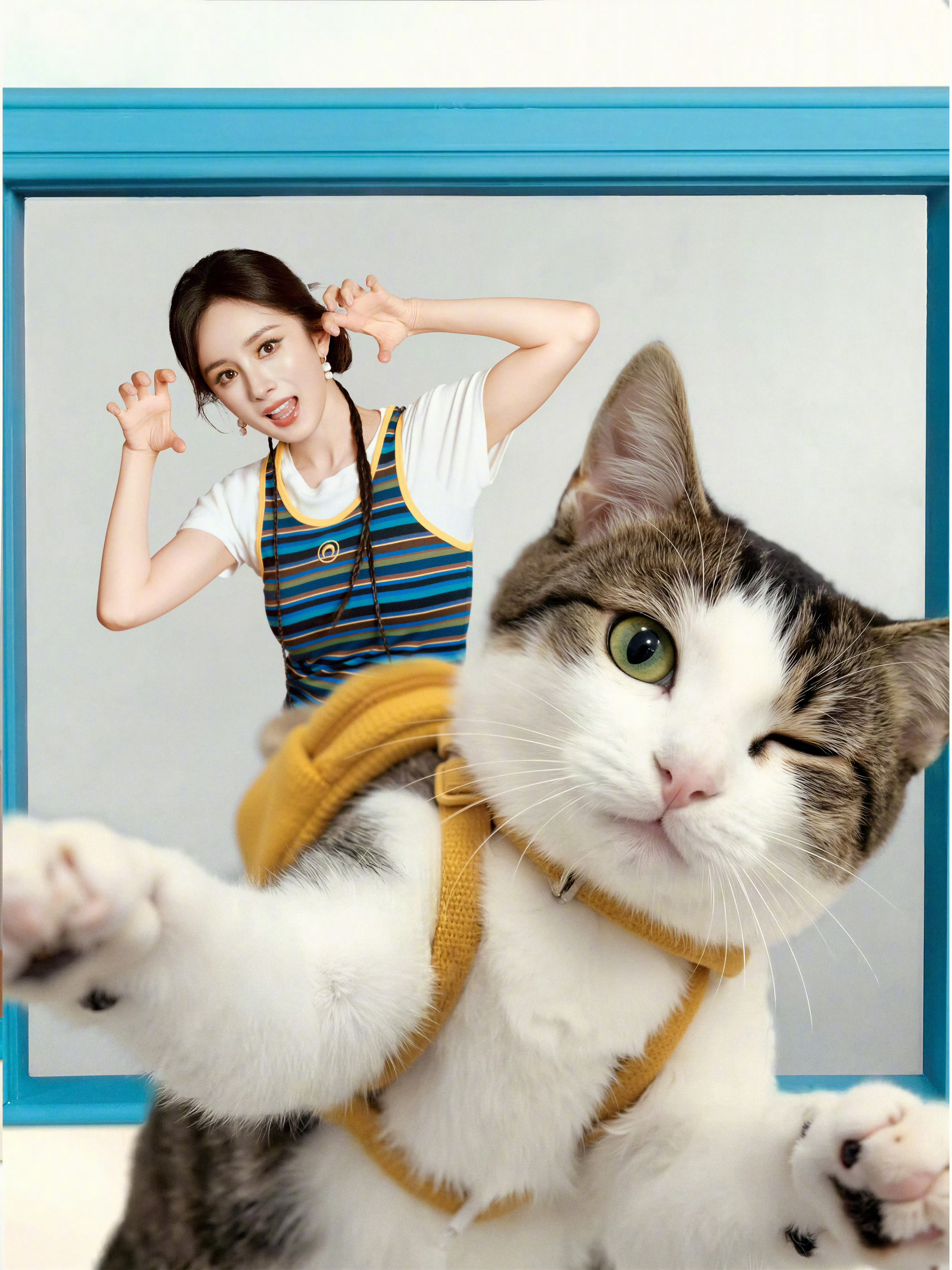 杨幂  刚点进超话以为这是马蜂P的猫，没想到是杨幂工作室发的哈哈，杨幂就是一只小