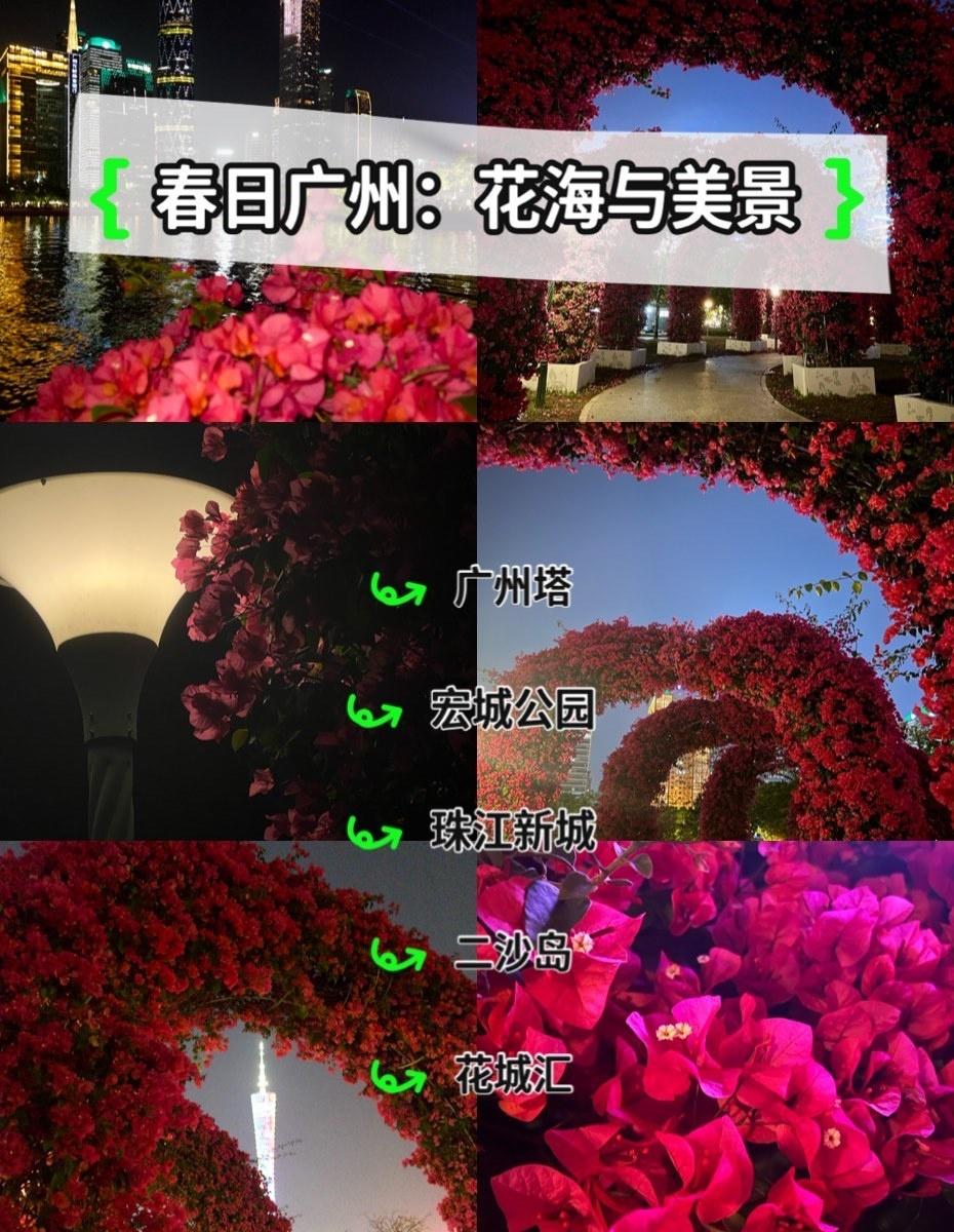 三月的广州是💗💓💖💝💞
📍广州 
拍摄时间：2026.03.15（手