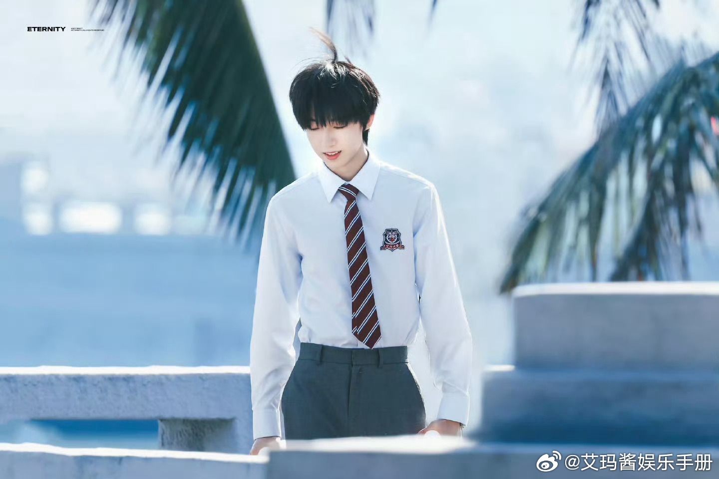 杨博文高会超张桂源了