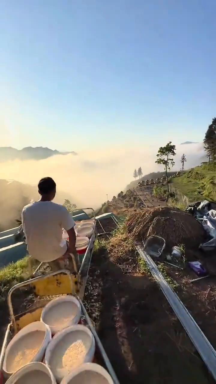 无奈人在风里，人在雨里，人在爱的岁月里漂流。你我不能从头不能停，都不能抗拒命运左