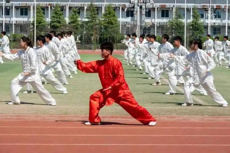 大学要开设太极拳专业了，目前已获得教育部批准。太极拳专业将由河南理工大学‌首先开