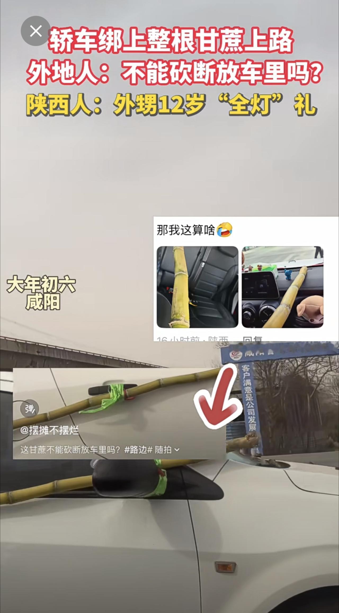 近日，一车外绑整根甘蔗上路的画面引热议，外地人：就不能砍断放车里吗？陕西人表示，