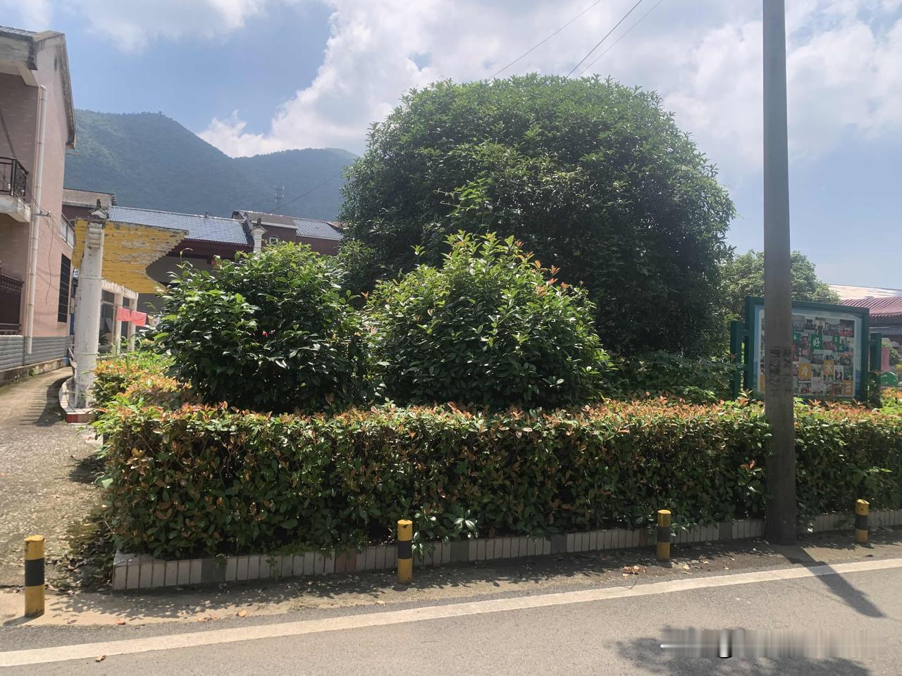 著名的心理学效应有哪些

世间诸多人际交往、得失抉择，背后都藏着经典心理学效应，