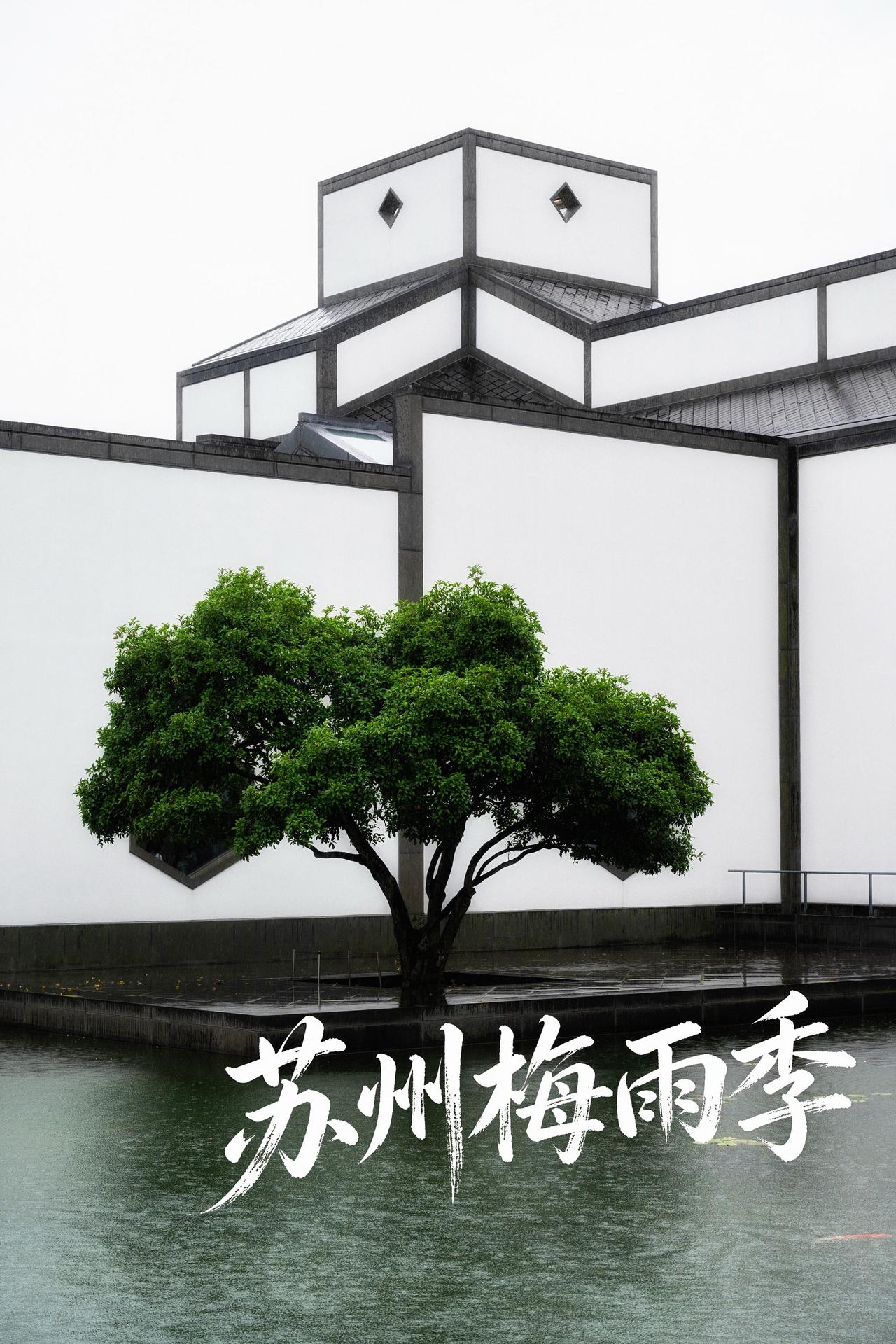 六月奔赴苏州，却遇到了梅雨季，整整五天，被连绵的暴雨包裹。

原本担心阴雨会毁掉