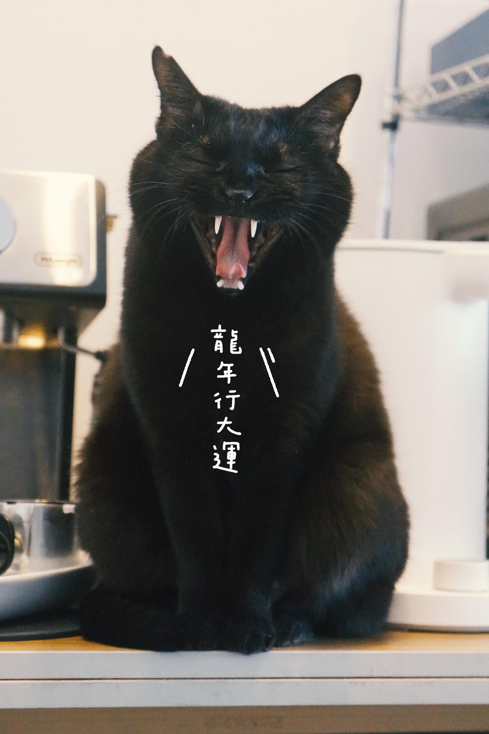 好的～#蝦蝦不可以太可愛# ​​​