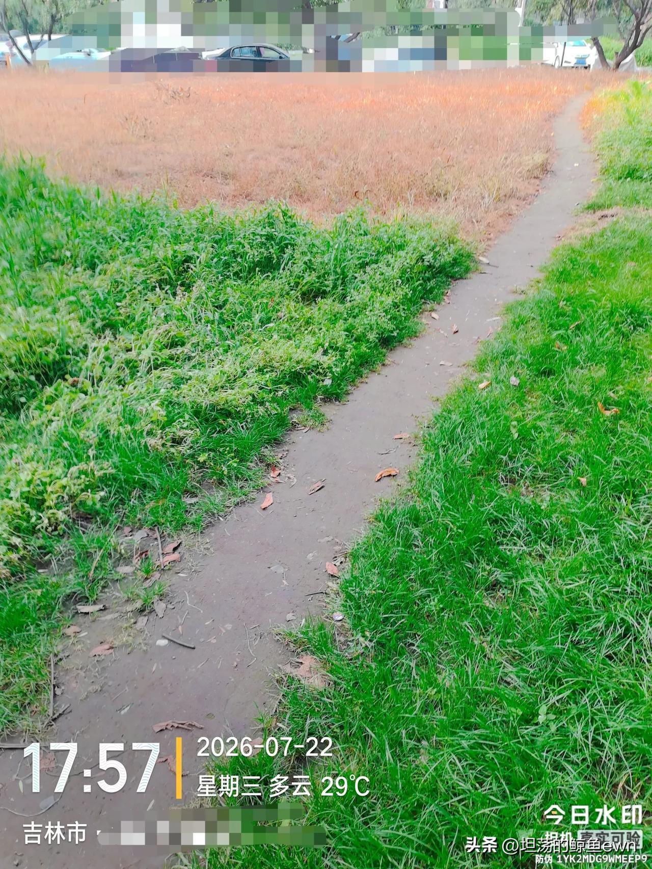 坐标吉林市， 2026年7月25日早晨05:05分，在吉林市这个小区的草坪发现一