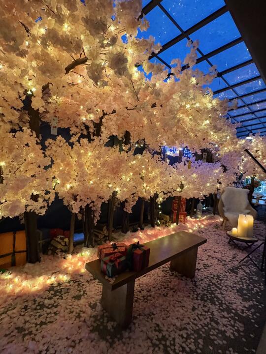 来西湖边……请记住这个位置！！！