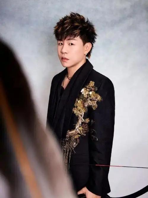 2026年1月，网络视听盛典的后台因胡彦斌的到来而熠熠生辉。胡彦斌，这位在华语乐