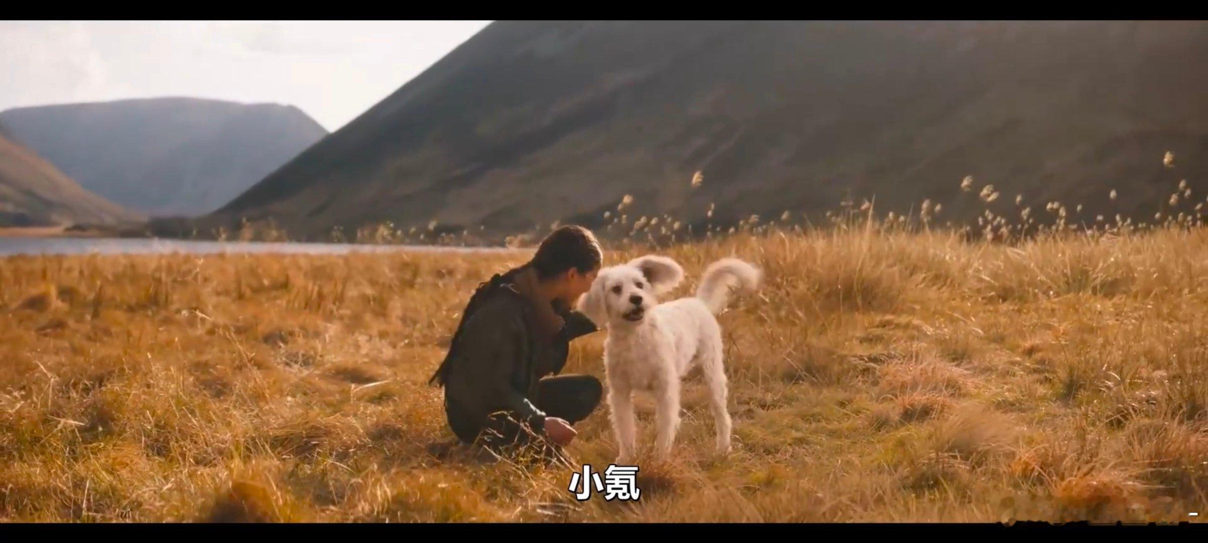 小氪这个萌啊🥺🥺 