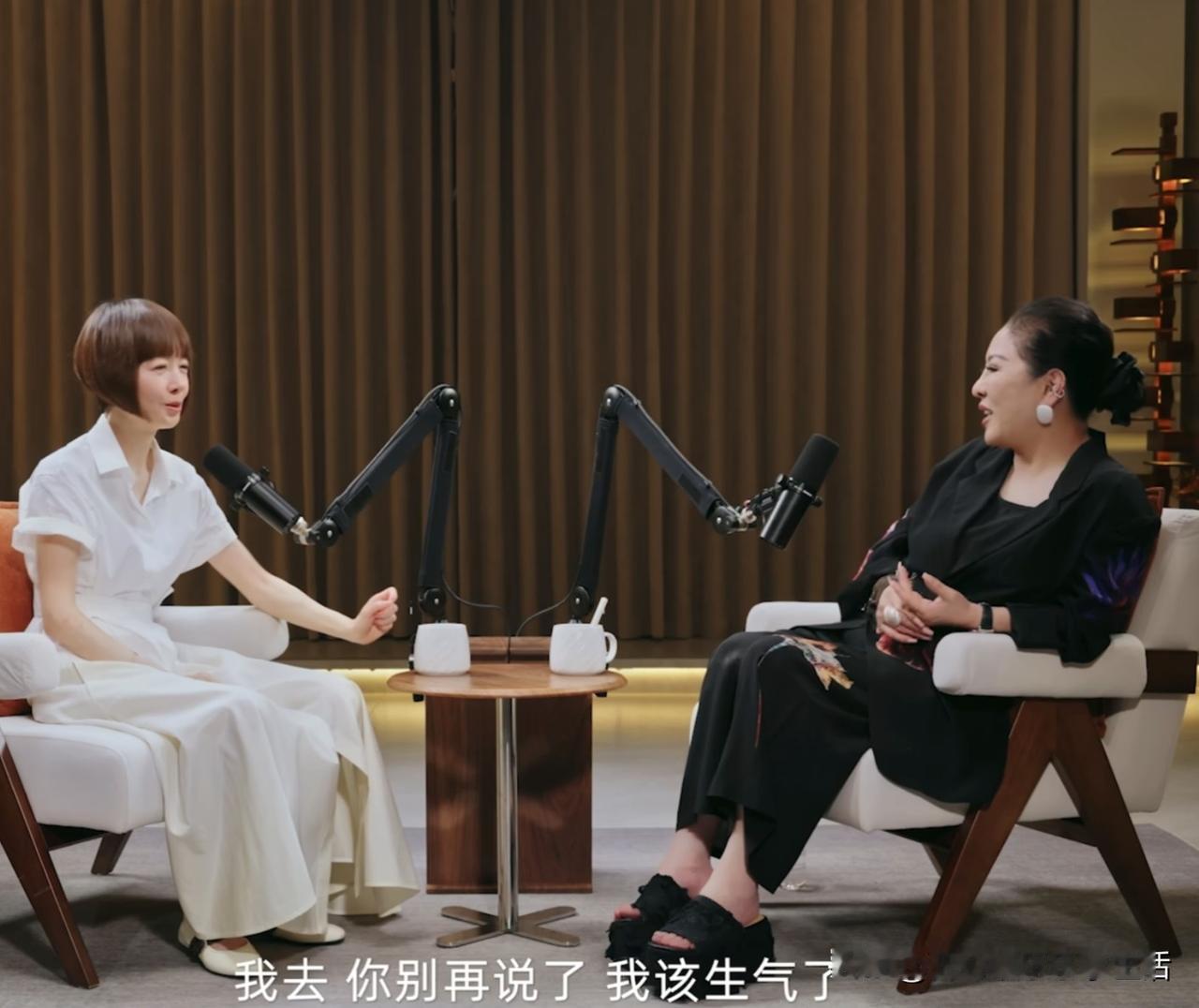 鲁豫罕见的在访谈中生气了！
向太偏帮徐克说话，直接把陈鲁豫惹毛了“我去，你别再说
