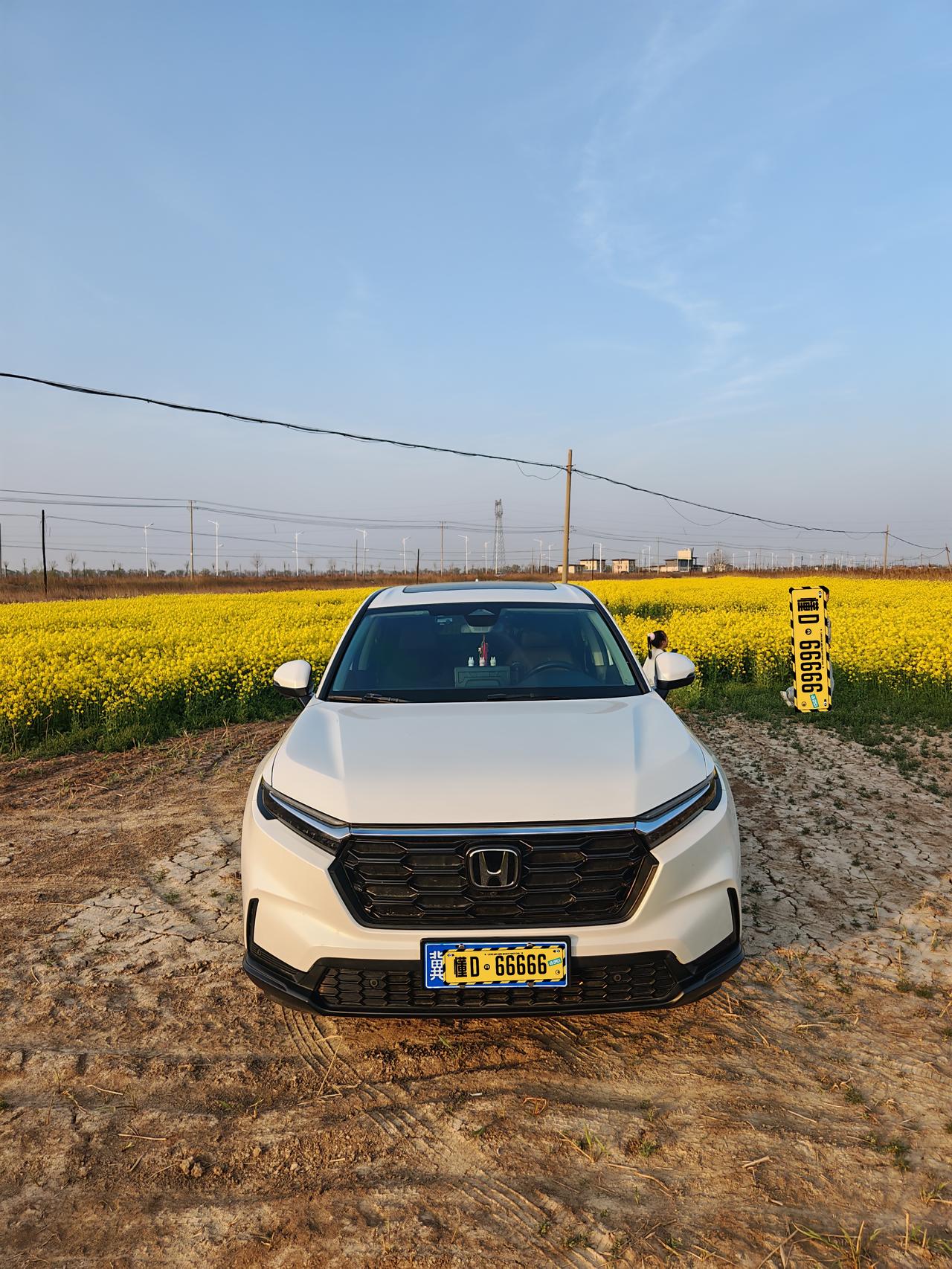 一年一度的油菜花开了，路过这大片儿的油菜花不去拍照真有点浪费了。
从乡间小路走进