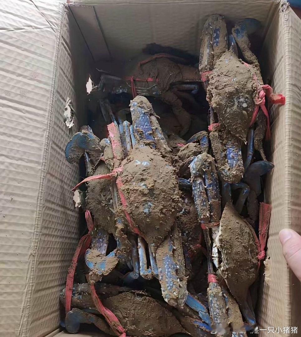 邻居刚送来的还能吃吗 ​​​