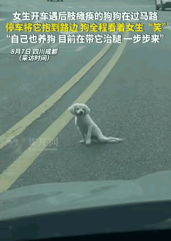 真的很破防，城市车流里的这一幕，看完心里久久不能平静。
      成都马路上，